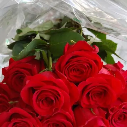 Flower Basket, business photo 2