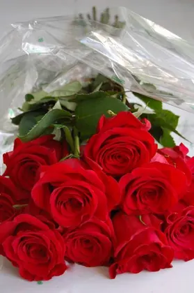 Flower Basket, business photo 4
