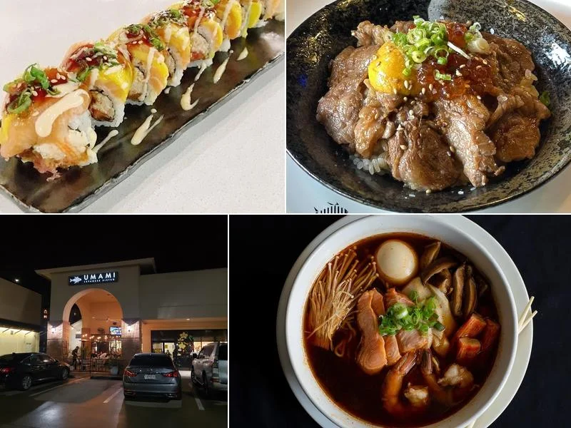UMAMI Japanese Bistro business photo